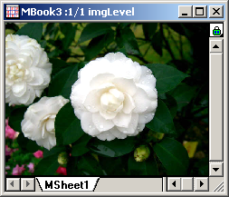 Example of Leveling (output)